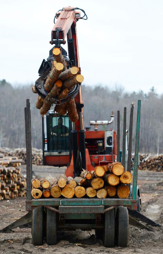 Canada responds to U.S.imposed lumber tariffs The Salt Lake Tribune