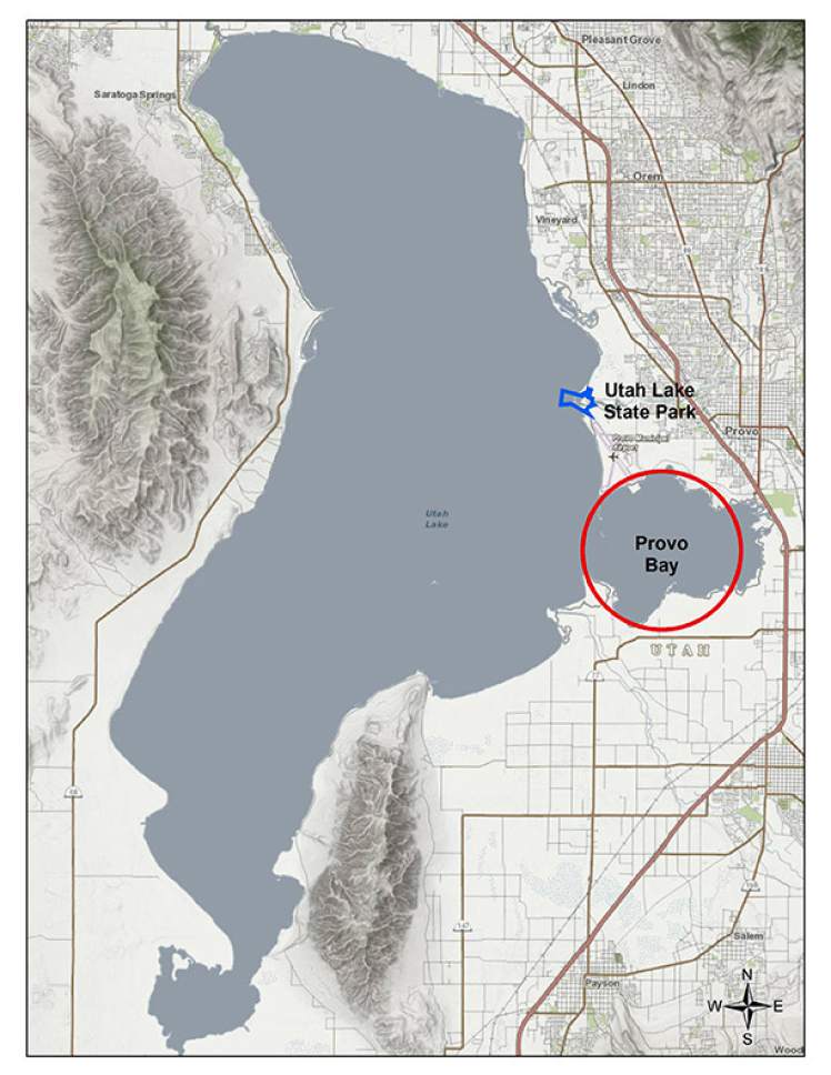 Toxic algae's return to Utah Lake could force it to close for holiday