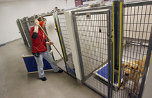 Salt Lake County animal shelter achieves no-kill status - The Salt Lake
