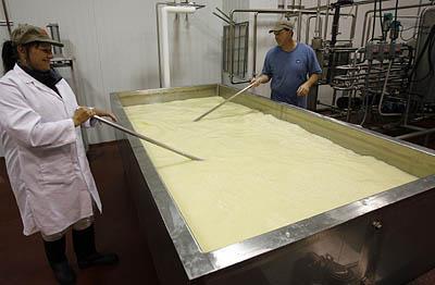 Head cheesemaker Tim Welsh, right, and friend Rose Kaszuba, stir the pasteurized milk with rakes as it heats
