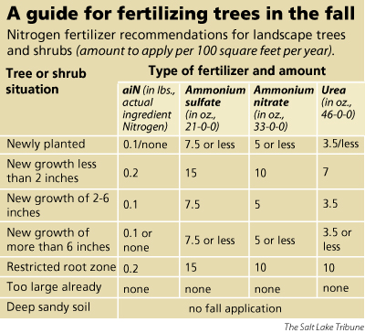 Do your trees need fertilizer this fall? - The Salt Lake Tribune