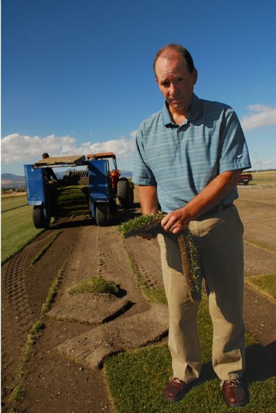 Gardening Sustainable Landscaping With Utah Turfgrass The Salt Lake Tribune