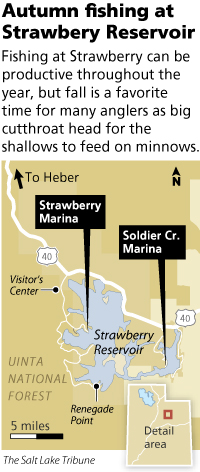 Strawberry Reservoir Fishing Map Utah Fishing: Anglers Lured To 'Berry - The Salt Lake Tribune