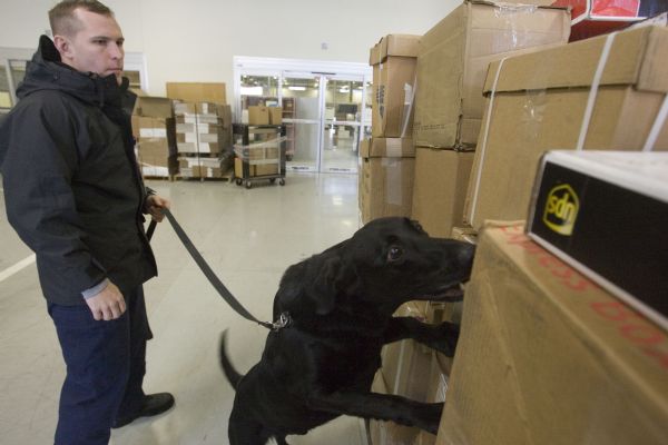 Jim Urquhart  |  The Salt Lake Tribune
Daniel Hillery, explosive detection dog handler, works with his dog Max in searching packages of returns Tuesday, January 19, 2010 at the Internal Revenue Service's ARKA facility in Ogden. The Ogden IRS facilities process business tax forms. The facilities employ about 6,500 staff and processed approximately 46 million returns in 180 different forms in 2009.