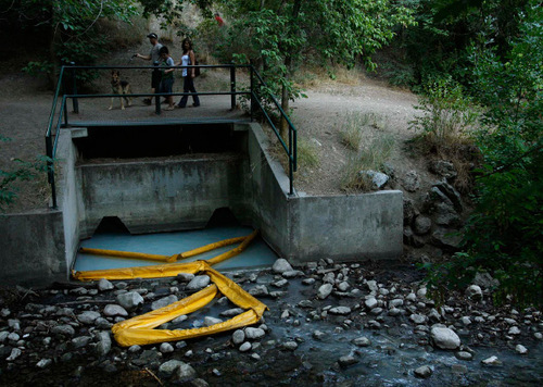 Salt Lake Fire Department crews installed a boom to prevent City Creek contamination.  White latex paint flowed into City Creek via a storm drain from the Avenues, fire crews said. The storm drain has been dammed to prevent further contamination. The storm drain has been dammed to prevent further contamination.
Leah Hogsten  |  The Salt Lake Tribune