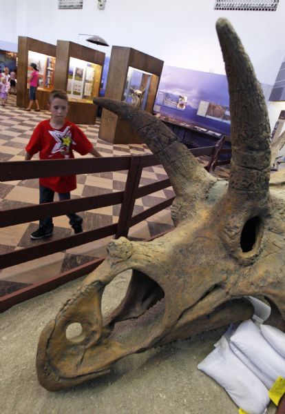 Francisco Kjolseth  |  The Salt Lake Tribune
Dominic Roberts of Cokeville, Wyo., checks out a skull cast of the Coahuilaceratops magnacuerna recently at the Utah Museum of Natural History on the University of Utah campus.