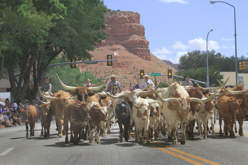 Rick Egan  |  The Salt Lake Tribune

A herd of longhorn cattle walk up Main Street in Kanab and lead the parade during the Western Legends Round Up on Saturday.