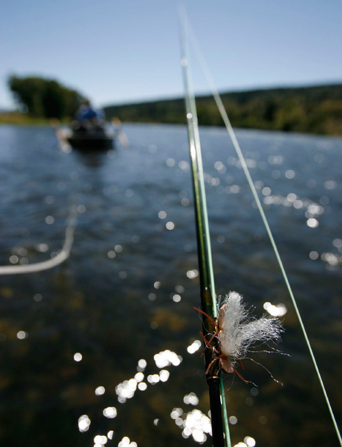 Francisco Kjolseth  |  The Salt Lake Tribune

Hopper dry fly patterns are a popular choice for anglers on the South Fork of the Snake River in Idaho.