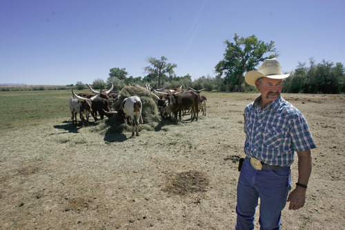 Rick Egan   |  The Salt Lake Tribune

 Duane Gilbert, has a ranch in Castle Dale, Utah, dedicated to zebras and Watusi cattle.  Friday, September 10, 2010.