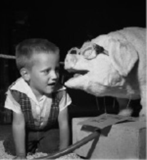 Van Porter/Salt Lake Tribune Archives

Jay Murdoch, 4, of American Fork, gets the inside story on the 1959 Utah State Fair from Pat, the talking pig.