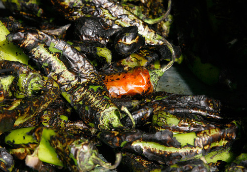 Scott Sommerdorf  l  The Salt Lake Tribune
Harmon's grocery stores are roasting fresh, locally grown Anaheim chile peppers every weekend this fall. The peppers are roasted in large metal drums outside the store.