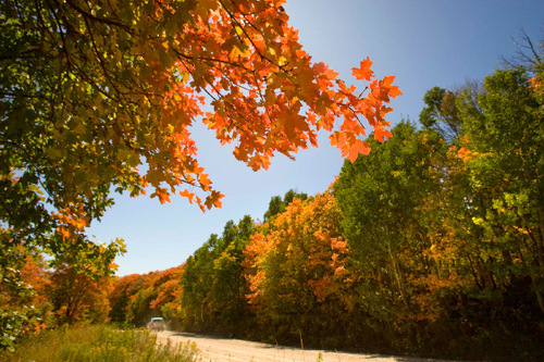 An SUV takes a slow drive through the autumn color on a dirt road above Wasatch State Park on  Wednesday, September 23,2009  photo:Paul Fraughton/ The Salt Lake Tribune