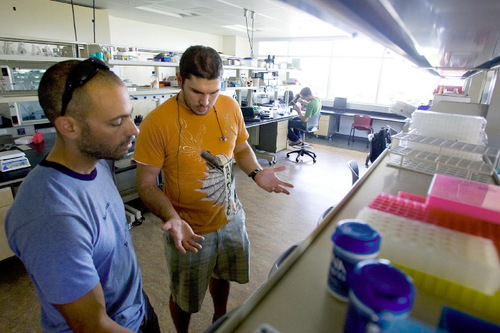 Djamila Grossman  |  The Salt Lake Tribune&#xA;&#xA;Bobby Sheen, a biology/chemistry senior, and biology professor Brian Avery look at an instrument as Sage Dunham, a chemistry/physics sophomore works in the back, at a lab in the new Meldrum Science Center at Westminster College in Salt Lake City, Sept. 17, 2010. The building has earned a platinum LEED -certification, making it Utah's first higher education building to achieve the highest standard in environmental design.