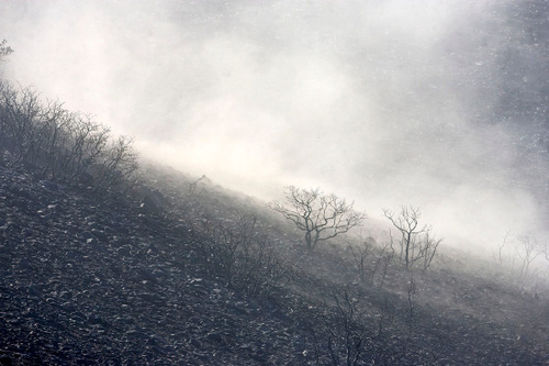 Al Hartmann  |  The Salt Lake Tribune
Winds whip up ash in a moonscape scene of burned hillside above Herriman on Tuesday September 21st.