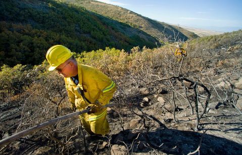 Lehi Fire Department's Capt. Kim Beck pulls a hose along a hillside Monday, Sept. 20, 2010, in Herriman. (Douglas C. Pizac/Special to The Tribune)