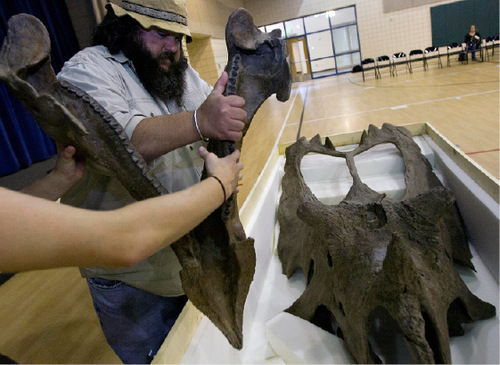 Djamila Grossman  |  The Salt Lake Tribune&#xA;&#xA;Mark Loewen, a research curator with the Utah Museum of Natural History, packs up the cast of the lower jaw and skull of a new dinosaur species, after presenting it to the students of Daybreak Elementary School in South Jordan, Wednesday, Sept. 22, 2010. The Utahceratops, seen in the photo, and the Kosmoceratops were officially named Wednesday, after 10 years of research.