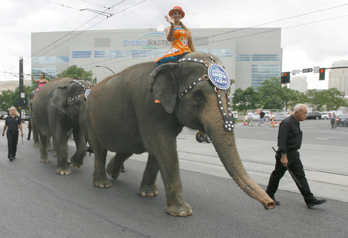 Rick Egan   |  The Salt Lake Tribune&#xA;&#xA;&#xA;The Elephant Parade marches along 400 West in Salt Lake City, Wednesday, Sept. 22, 2010.    It was Elephant Appreciation Day as the Ringling Bros. and Barnum & Bailey Circus rolled into town.
