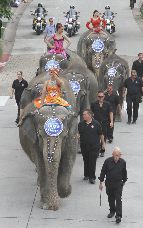 Rick Egan   |  The Salt Lake Tribune


Glinda Figueiredo,  Daniele Giamtaoli  and Clarissa Olidera, wave to the crowd as the  Elephant Parade winds down Rio Grande Street at The Gateway in Salt Lake City on Wednesday, Sept. 22, 2010.    It was Elephant Appreciation Day as the Ringling Bros. and Barnum & Bailey Circus rolled into town.