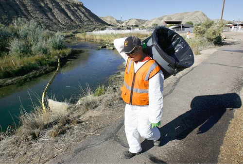 Scott Sommerdorf  l  The Salt Lake Tribune
An Enviro Care cleanup worker heads downriver past one of the containment booms on his way to collect oil and chunks of oil deposited along the banks of the Strawberry River. An illegal dumping of oil into the Strawberry River near near the Duchesne County Fairgrounds was being contained and cleaned up early Saturday morning, September 24, 2010.