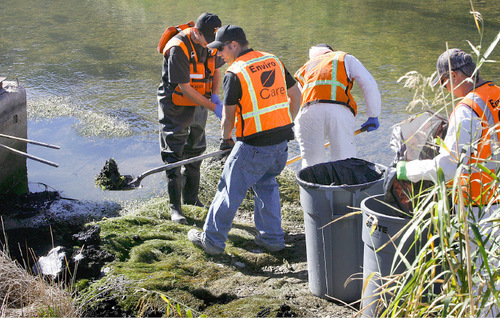 Scott Sommerdorf  l  The Salt Lake Tribune&#xA;A cleanup crew from Enviro Care cleans up oil deposited along the banks of the Strawberry River. An illegal dumping of oil into the Strawberry River near near the Duchesne County Fairgrounds was being contained and cleaned up early Saturday morning, September 24, 2010.