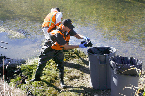 Scott Sommerdorf  l  The Salt Lake Tribune&#xA;Workers from Enviro Care collected chuncks of waxy oil found along the river's edge. An illegal dumping of oil into the Strawberry River near the Duchesne County Fairgrounds was being contained and cleaned up early Saturday morning, September 24, 2010.