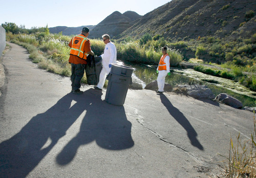 Scott Sommerdorf  l  The Salt Lake Tribune&#xA;A cleanup crew from Enviro Care prepares to collect oil and chunks of oil deposited along the banks of the Strawberry River early Saturday morning. An illegal dumping of oil into the Strawberry River near the Duchesne County Fairgrounds was being contained and cleaned up early Saturday morning, September 24, 2010.