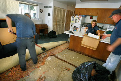 Scott Sommerdorf  l  The Salt Lake Tribune&#xA;A crew from Utah Disaster Kleenup tears up ruined carpeting and salvages items from the basement unit at 339 South, 600 West in Provo. A water main that broke early Monday morning at the intersection of 600 West and 300 South was being repaired, Monday, September 27, 2010.