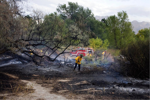 Djamila Grossman  |  The Salt Lake Tribune&#xA;&#xA;A firefighter carries a hose to spray down burnt trees and shrubs after a fire broke out at Wheeler Historic Farm in Murray, Sunday, Oct. 3, 2010.