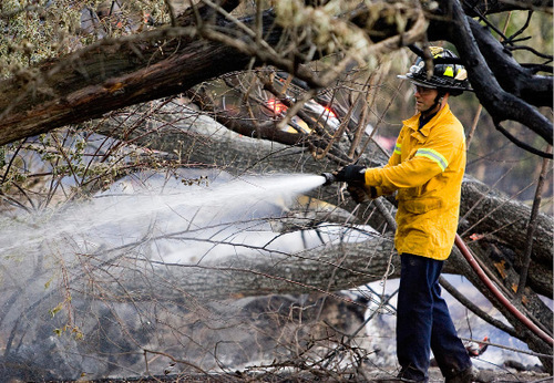 Djamila Grossman  |  The Salt Lake Tribune&#xA;&#xA;A firefighter sprays down burnt trees and shrubs after a fire broke out at Wheeler Historic Farm in Murray, Sunday, Oct. 3, 2010.