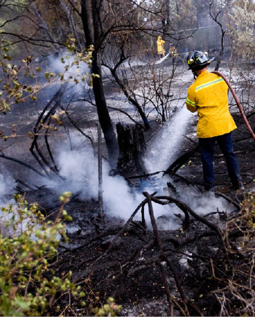 Djamila Grossman  |  The Salt Lake Tribune&#xA;&#xA;A firefighter sprays down burnt trees and shrubs after a fire broke out at Wheeler Historic Farm in Murray, Sunday, Oct. 3, 2010.