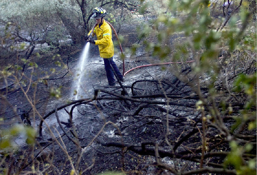 Djamila Grossman  |  The Salt Lake Tribune&#xA;&#xA;A firefighter sprays down burnt trees and shrubs after a fire broke out at Wheeler Historic Farm in Murray, Sunday, Oct. 3, 2010.