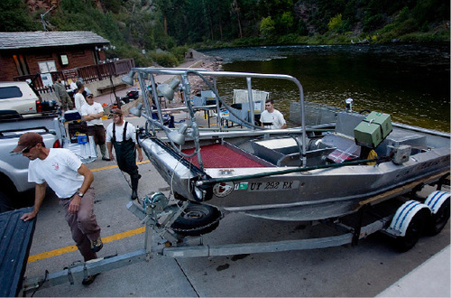 Djamila Grossman  |  The Salt Lake Tribune&#xA;&#xA;Utah Division of Wildlife Resources fisheries biologists get ready to conduct an electroshocking survey on the Green River below Flaming Gorge Dam, September 13, 2010. The survey, in which fish are caught and tagged, is conducted twice annually and helps determine the health and numbers of fish in the river.