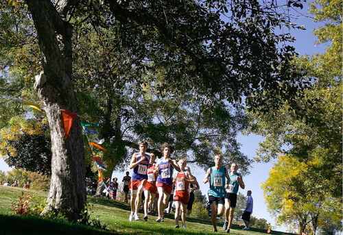 Djamila Grossman  |  The Salt Lake Tribune&#xA;&#xA;Runners compete in the 3A boys race at the 2010 Utah UHSAA State Cross Country Championships at Sugarhouse Park in Salt Lake City, Wednesday, Oct., 20, 2010.