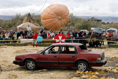 Francisco Kjolseth  |  The Salt Lake Tribune
The year's state record pumpkin of 1,169 pounds is dropped on Saturday onto a car from a 175-foot crane at Hee Haw Farms in Pleasant Grove, completely destroying a Pontiac 6000. The pumpkin was grown by Matt McConkie from Mountain Green and it is calculated that the descent of the giant pumpkin reached a top speed of 67.1mph for 3.1 seconds before meeting its end.