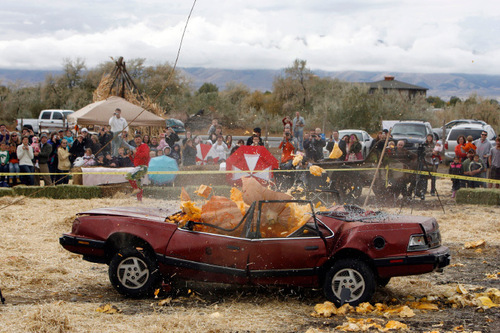 Francisco Kjolseth  |  The Salt Lake Tribune&#xA;The year's state record pumpkin of 1,169 pounds is dropped on Saturday onto a car from a 175-foot crane at Hee Haw Farms in Pleasant Grove, completely destroying a Pontiac 6000. The pumpkin was grown by Matt McConkie from Mountain Green and it is calculated that the descent of the giant pumpkin reached a top speed of 67.1mph for 3.1 seconds before meeting its end.