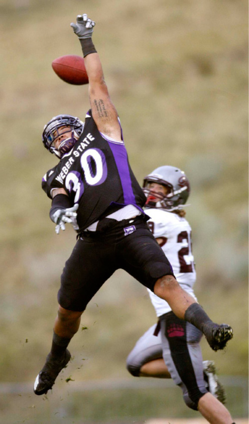 Trent Nelson  |  The Salt Lake Tribune
Weber State's Taylor Sedillo knocks the ball away from Montana receiver Bryce Carver during the second half, Weber State vs. Montana, college football Saturday, October 30, 2010.