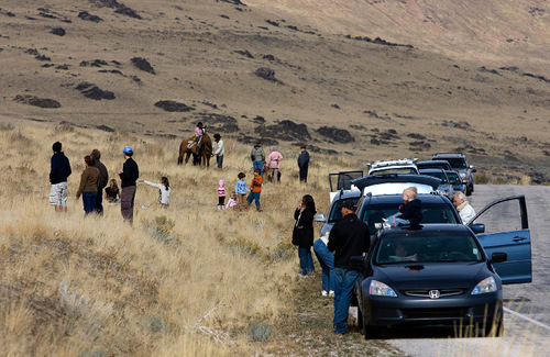 Djamila Grossman  |  The Salt Lake Tribune&#xA;&#xA;Spectators watch the 24th annual bison roundup on Antelope Island, Friday, October 29, 2010.