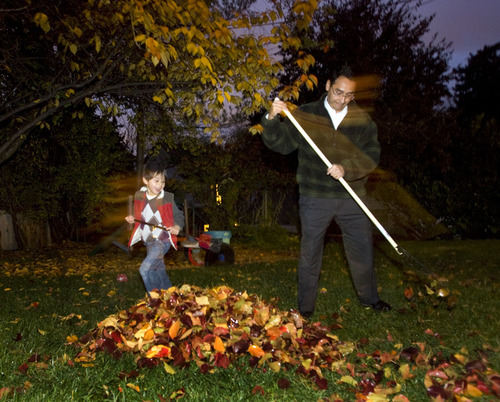 STEVE GRIFFIN | The Salt Lake Tribune
 Ross Romero and his son, Marcus, rake and play in the leaves at their Salt Lake City home Wednesday. Romero is the newly minted minority leader in the state Senate and the first Latino to hold that title.
