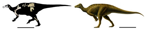 A rendering of a new dinosaur species, dubbed Hippodraco, found near Arches National Park.
Rendering Courtesy Utah Department of Natural Resources