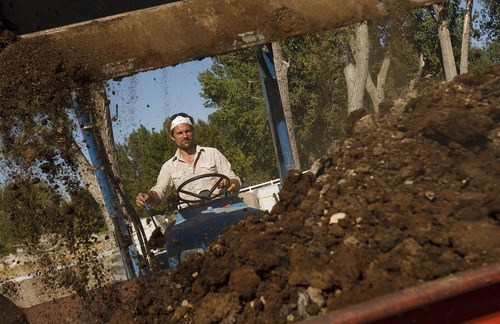 Leah Hogsten  |  The Salt Lake Tribune 

Reese Zollinger, son of Historic Holmgren Farm owner Tamara Zollinger, turns fertilizer to lay on more herb and flower beds on the farm on Sept. 30. The 1896 Historic Holmgren Farm was once a dairy farm and then later a beef cattle farm on 100 acres in the heart of Tremonton. Now the farm owned by Tamara Zollinger, granddaughter of first owner David Holmgren, is open for tours.