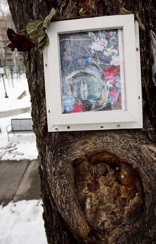 Trent Nelson  |  The Salt Lake Tribune
The Mary Tree was vandalized in 2002.