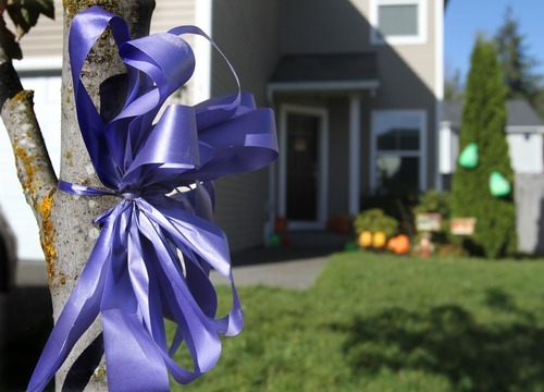 Rick Egan  | The Salt Lake Tribune
A purple bow remains on a tree in front of a house near Steve Powell's home, where Josh and his boys are living, in Puyallup, Wash.