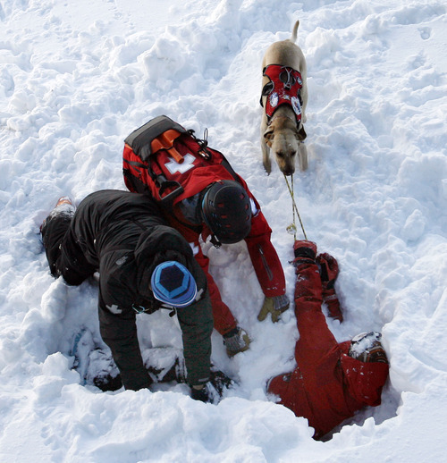 Steve Griffin  |  The Salt Lake Tribune
 
Brie, a rescue dog for Snowbird, pulls a ski patrol member out of the snow after finding him during a training drill on top of Hidden Peak on Sunday, Dec. 5, 2010. Dean Cardinale, director of the Snowbird ski patrol, hosted a group from the Society for Risk Analysis, showing participants how the ski patrol deals with the risks involved with keeping skiers safe at the resort. The group is in town for a conference.