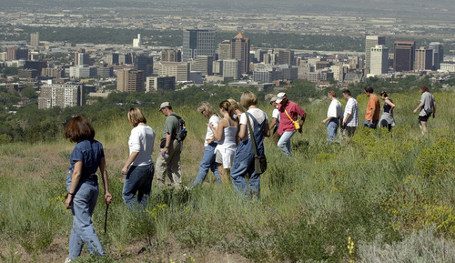 Steve Griffin  |  The Salt Lake Tribune

With Salt Lake City's downtown in the background, volunteers search the foothills below the home of 14-year-old Elizabeth Smart, who was kidnapped from her home June 5, 2002. Hundreds of volunteers showed-up to help in the search effort.