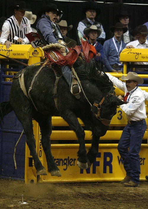 Trent Nelson  |  The Salt Lake Tribune
Jesse Wright of Millford, Utah, riding Spring Planting in the Saddle Bronc competition at the National Finals Rodeo in Las Vegas Saturday, December 11, 2010.