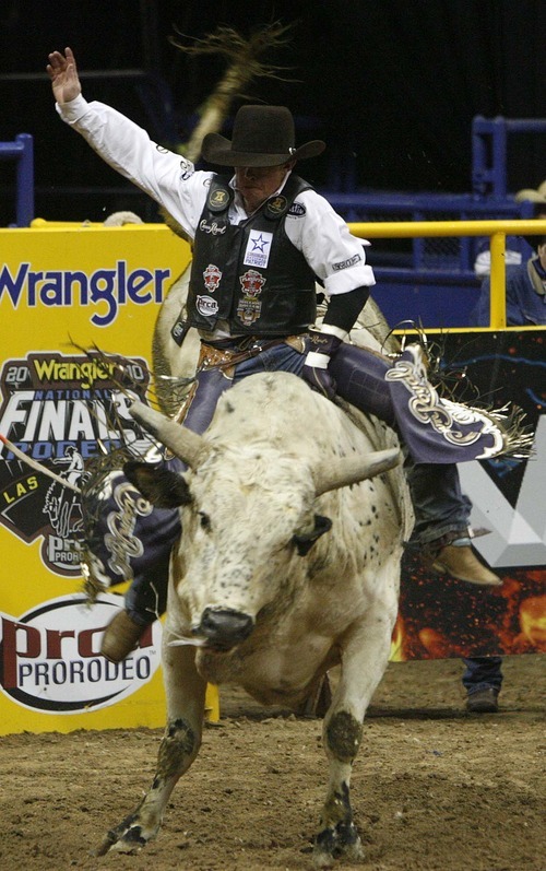 Trent Nelson  |  The Salt Lake Tribune
Steve Woolsey of Payson, Utah, rode the bull Palm Springs in the Bull Riding competition at the National Finals Rodeo in Las Vegas Saturday, December 11, 2010.