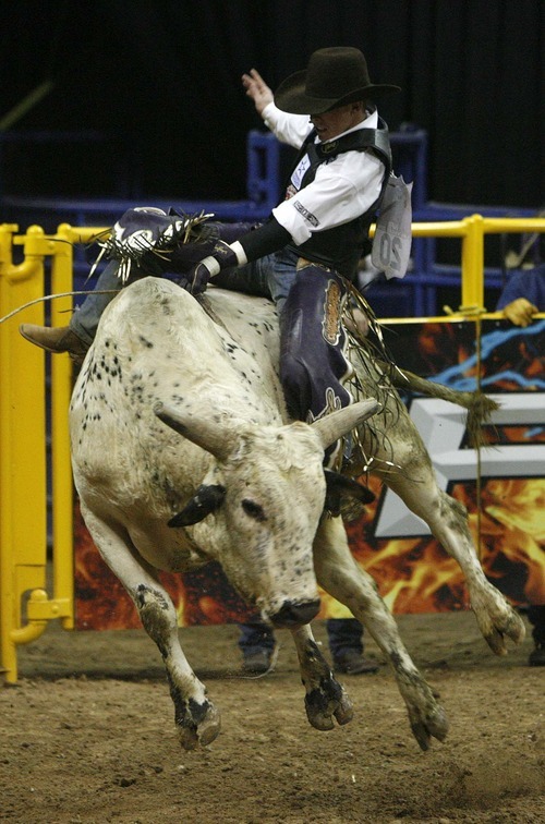 Trent Nelson  |  The Salt Lake Tribune
Steve Woolsey of Payson, Utah, rode the bull Palm Springs in the Bull Riding competition at the National Finals Rodeo in Las Vegas Saturday, December 11, 2010.