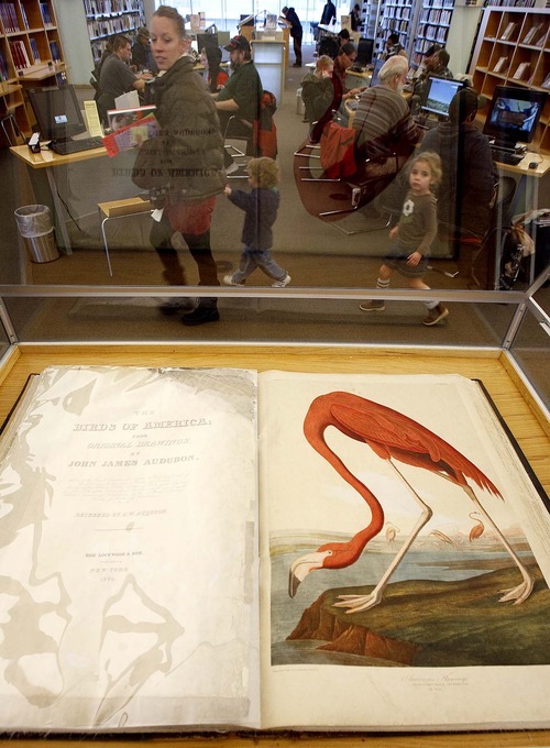 Trent Nelson  |  The Salt Lake Tribune

Salt Lake City's Main Library has on display one of the first reprints, dating to the late 1850s, of John James Audubon's The Birds of America. The book was acquired by the library in 1903.