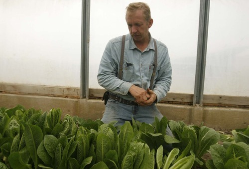 Leah Hogsten  |  The Salt Lake Tribune

Joseph Compton, tending to his greenhouse crops, is fighting a custody order that bars him from sharing his Fundamentalist Mormon views with his children or taking them to his home in Rocky Ridge, a small town in Juab County that is home to members of the Apostolic United Brethren, a fundamentalist sect.