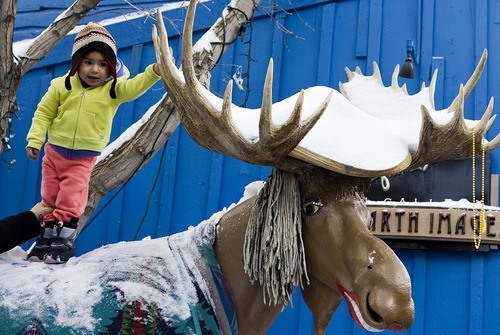Djamila Grossman  |  The Salt Lake Tribune

Shiloh Lopez, 2, of West Valley gets her picture taken on the back of a life-sized moose statue, during Sundance Film Festival in Park City, Saturday, Jan. 22, 2011.